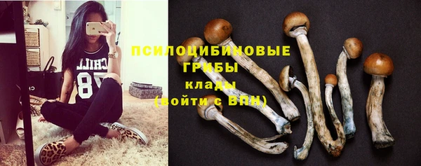 Альфа ПВП Алексин