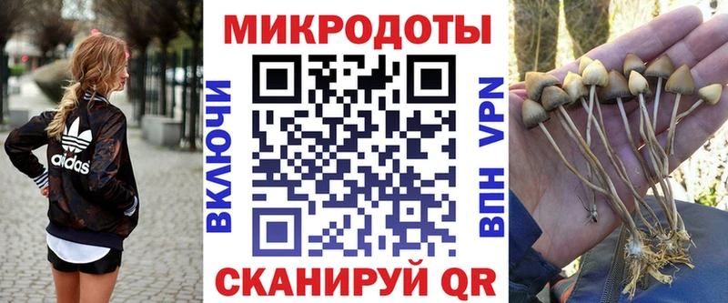 Псилоцибиновые грибы Magic Shrooms  сайты даркнета состав  Спасск  где купить наркоту 